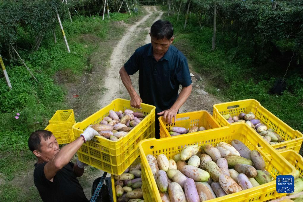 捕鱼游戏平台排行榜